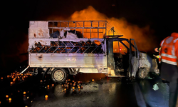 Mandalina Yüklü Kamyonette Çıkan Yangın Söndürüldü