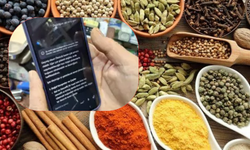 Bitkisel Bilgi Mi Yapay Zekâ Mı?