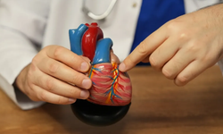 Uzmanlar Uyardı: 'Plastisite Sağlığı Tehdit Ediyor