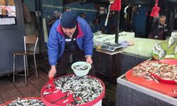 Zonguldak'ta Poyraz Nedeniyle Bazı Balıkçılar Denize Açılamadı