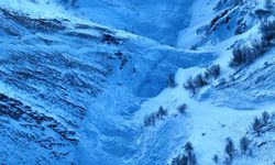 Artvin'de Çığ Bölgesinde Yeni Çığlar Yaşanıyor