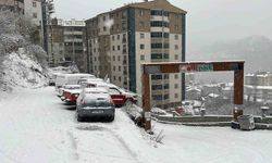 Artvin'de Kar Etkili Oluyor