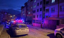 Tartıştığı Erkek Arkadaşını Banyoda Bıçaklayarak Öldürdü