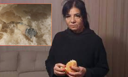 Ekmeğin İçinden Çıkan Şoke Etti!