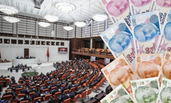 Emekli Aylığı Düzenlemesinin İlk 8 Maddesi TBMM'de Kabul Edildi