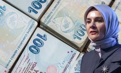 Ev Hanımlarına 9 Bin 723 Tl Destek: 2026 SED Ödemeleri Başladı