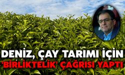 Deniz, Çay Tarımı İçin 'Birliktelik' Çağrısı Yaptı