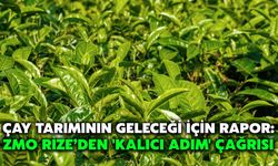 Çay Tarımının Geleceği İçin Rapor: ZMO Rize’den 'Kalıcı Adım' Çağrısı