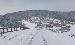Giresun'un Yaylalarında Kar Kalınlığı 1,5 Metreyi Buldu