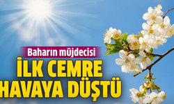 İlk Cemre Havaya Düştü