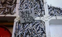 Hamsi Bu Defa Şaşırttı: Tezgahlar Yeniden Şenlendi