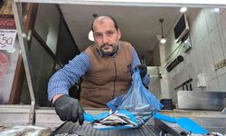 Karadeniz'de Hamsi Yerini İstavrite Bıraktı