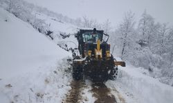 Trabzon'da 40 Mahalle Yolu Kar Nedeniyle Ulaşıma Kapandı