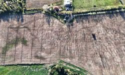 Türkiye'deki Şehirler, Samsun'da Üretilen Fidanlarla Yeşerdi