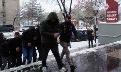 Yasal Araç Kiralama Web Sitesi Kurarak Vatandaşları Dolandırdılar