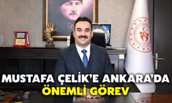 Mustafa Çelik’e Ankara’da Önemli Görev