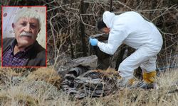 Kan Donduran Cinayet: 6 Gündür Aranan Yaşlı Adamın Cesedi Parçalanmış Halde Bulundu