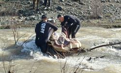 Kaybolan Kadın Dere Yatağında Ölü Bulundu