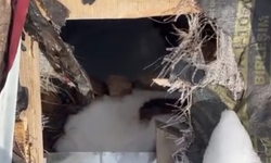 Bu Kez Çatıdan Girdi