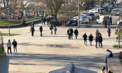 Domuz Gribi Vakalarında Artış