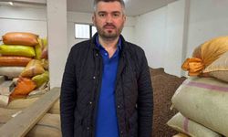 Düşmeye Devam Eden Fındık Fiyatını Yeni Sezon Rekoltesi Belirleyecek