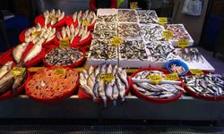 Hamside Beklenen Son