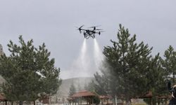 Sivas'ta keneye karşı havadan karadan mücadele