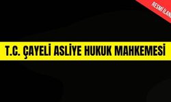 T.C. ÇAYELİ ASLİYE HUKUK MAHKEMESİ