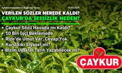 Çaykur İşçileri İçin Verilen Sözler Tartışma Konusu Oldu