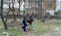 Başıboş Köpeğin Saldırdığı 3 Yaşındaki Çocuk Ağır Yaralandı