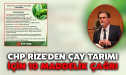 CHP Rize'den Çay Tarımı İçin 10 Maddelik Çağrı