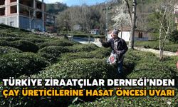 Türkiye Ziraatçılar Derneği’nden Çay Üreticilerine Hasat Öncesi Uyarı
