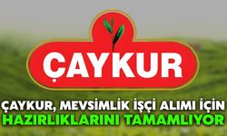 ÇAYKUR, Mevsimlik İşçi Alımı İçin Hazırlıklarını Tamamlanıyor