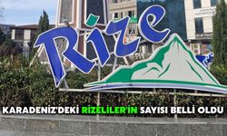 Karadeniz'deki Rizeliler'in Sayısı Belli Oldu