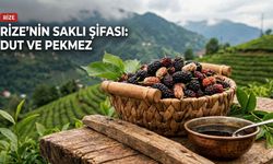 Rize’nin Saklı Şifası: Dut Meyvesi ve Mucizevi Etkileri