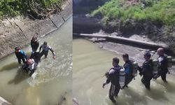 Ekiplerin Aradığı Kadının Cenazesi Sulama Kanalında Bulundu