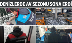 Denizlerde Av Sezonu Sona Erdi