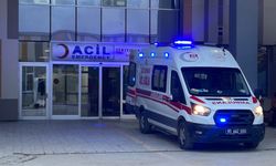 Köpeklerin Saldırdığı 5 Yaşındaki Çocuk Hayatını Kaybetti