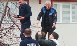 Ağaçta mahsur kalan kediye zabıtadan kurtarma operasyonu