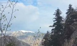 Artvin'de Yaylada Düşerek Yaralanan Vatandaş Helikopterle Kurtarıldı