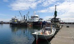 Balıkta Bereketli Sezon: 'Halk Bu Yıl Balığa Doydu