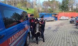 Eşini Av Tüfeğiyle Öldüren Kadın Adliyeye Sevk Edildi