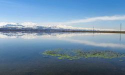 Meteorolojiden Zirai Don Uyarısı