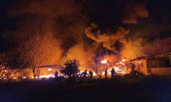 Muz Deposu Alevlere Teslim Oldu