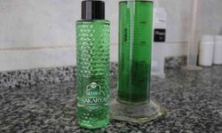 Savcının Objektifinden Yaban Hayatı