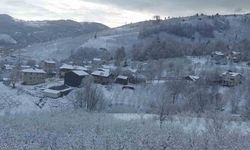 Sakarya'nın Yüksek Kesimleri Beyaza Büründü