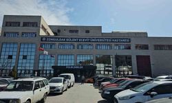 Tek Bir Vaka Bütün Kenti Ayağa Kaldırdı