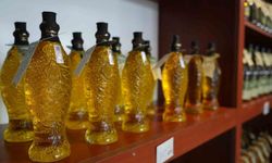 Zeytinyağında Maliyet Artışı Fiyatlara Yansımayabilir