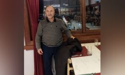 Arazi Kavgası Kanlı Bitti: 70 Yaşındaki Adam Göğsünden Vurularak Hayatını Kaybetti