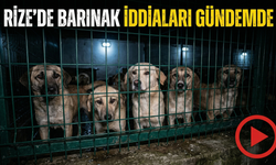 Rize’de Barınak İddiaları Gündemde